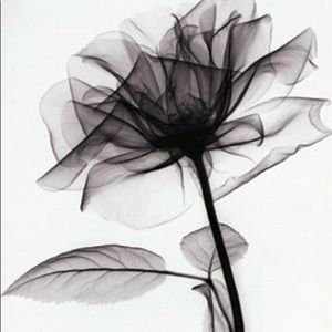 Meet your Posher, Kelli